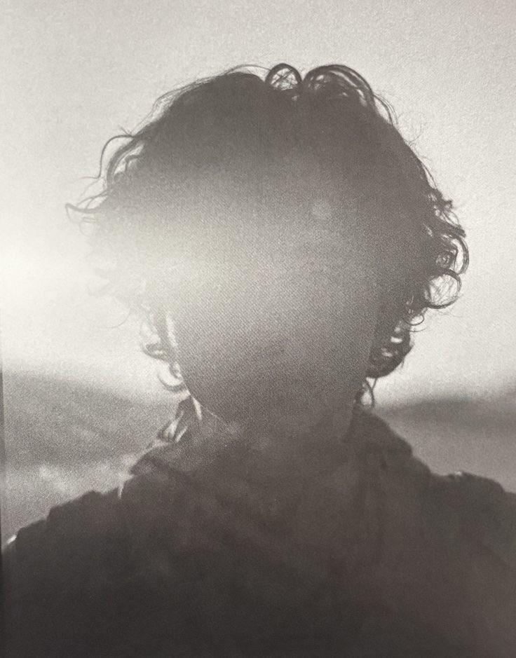 What the hell, sure tweet media