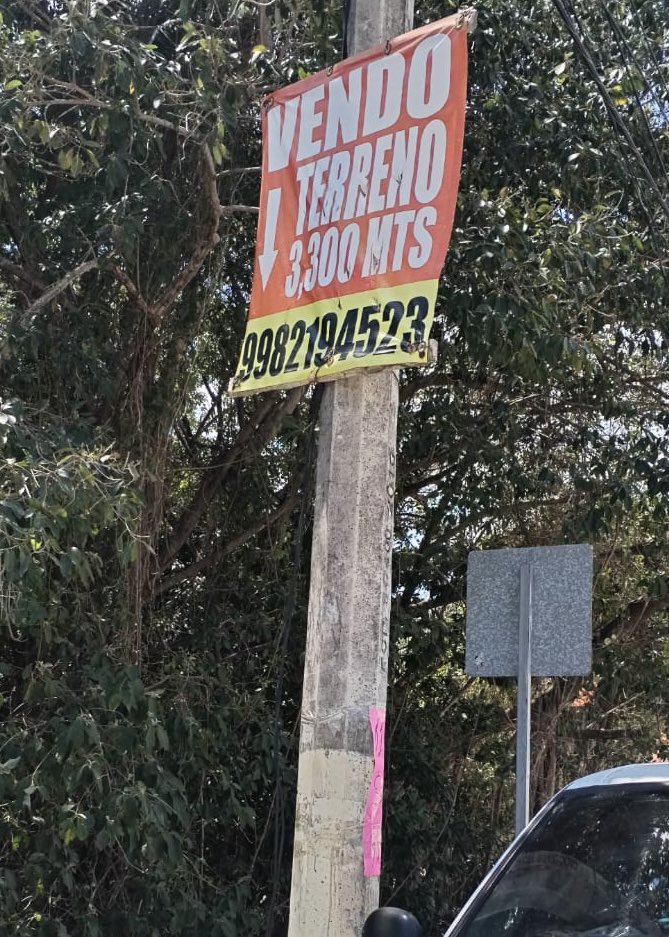 Ayto Benito Juárez tweet media