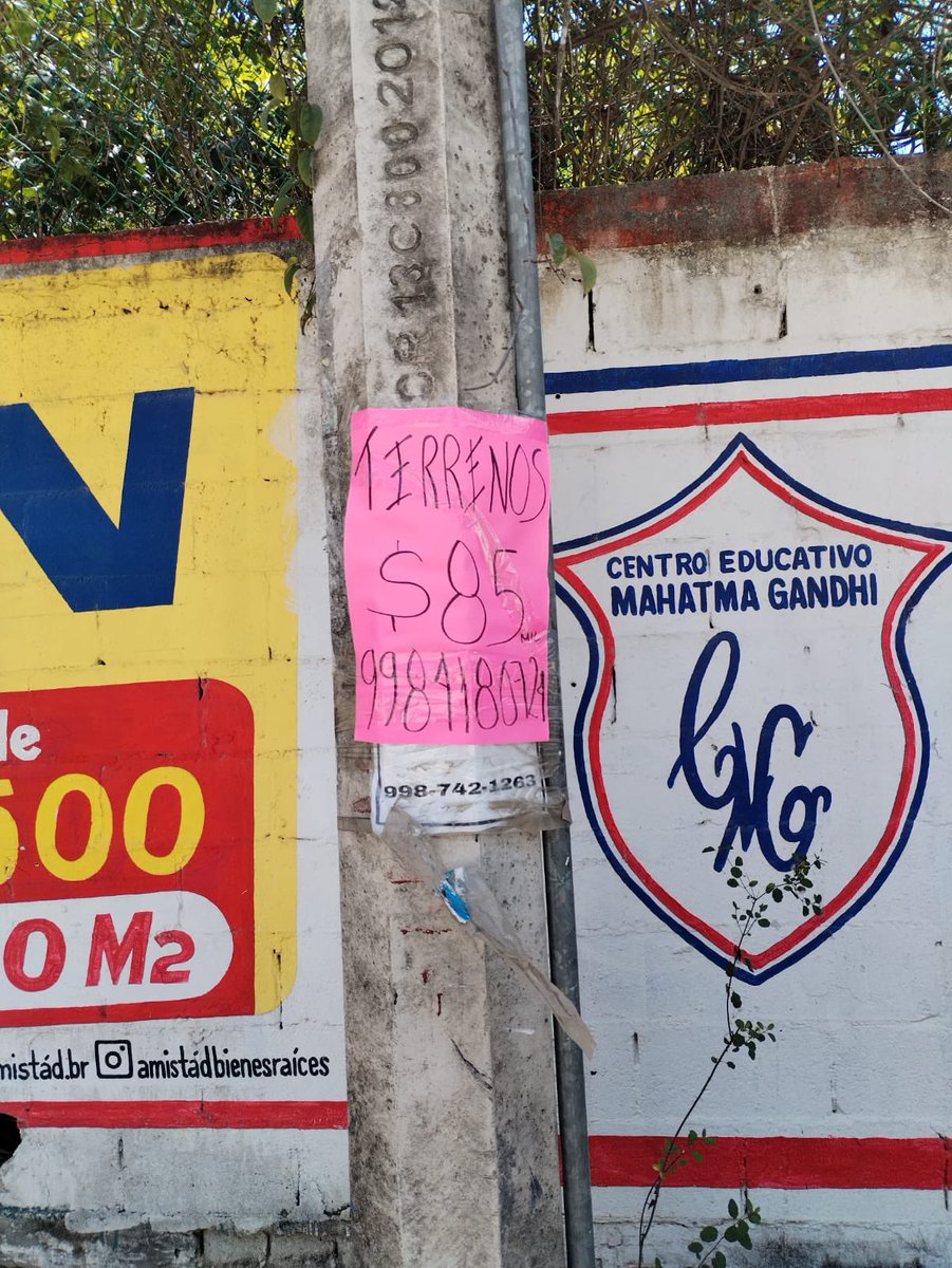 Te recordamos que no está permitido colocar publicidad en postes, árboles, bardas o cualquier tipo de equipamiento urbano.

Construir un Cancún limpio y ordenado es tarea de todas y todos. 
(2/2)

#CancúnNosUne
#PorLaTransformación🤝