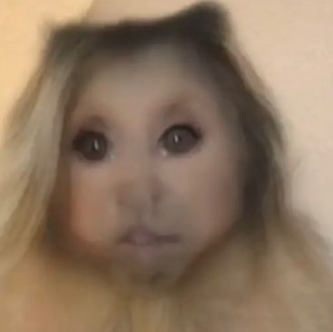 ricardo 🌌 tweet media