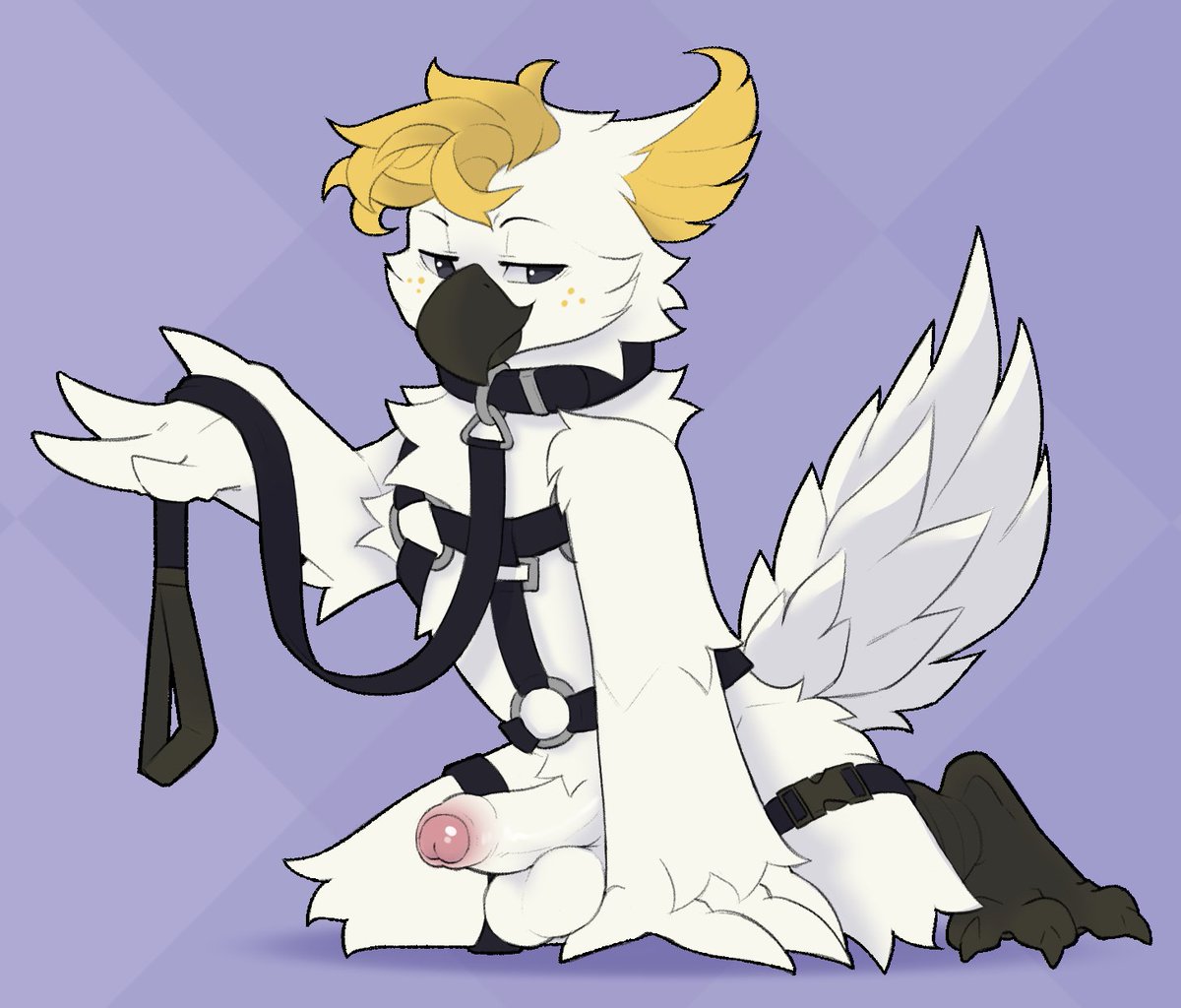 🔞Decker tweet media