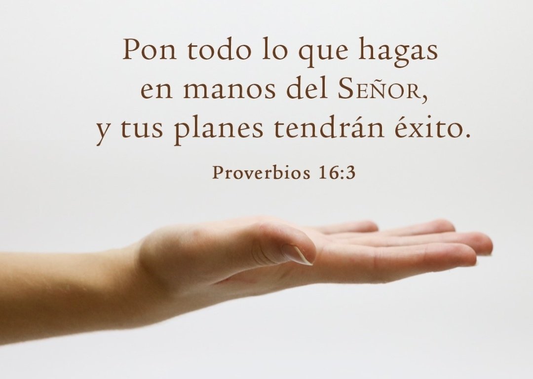elzorrotacneno's tweet photo. Así es. https://t.co/4HKykEyK4g