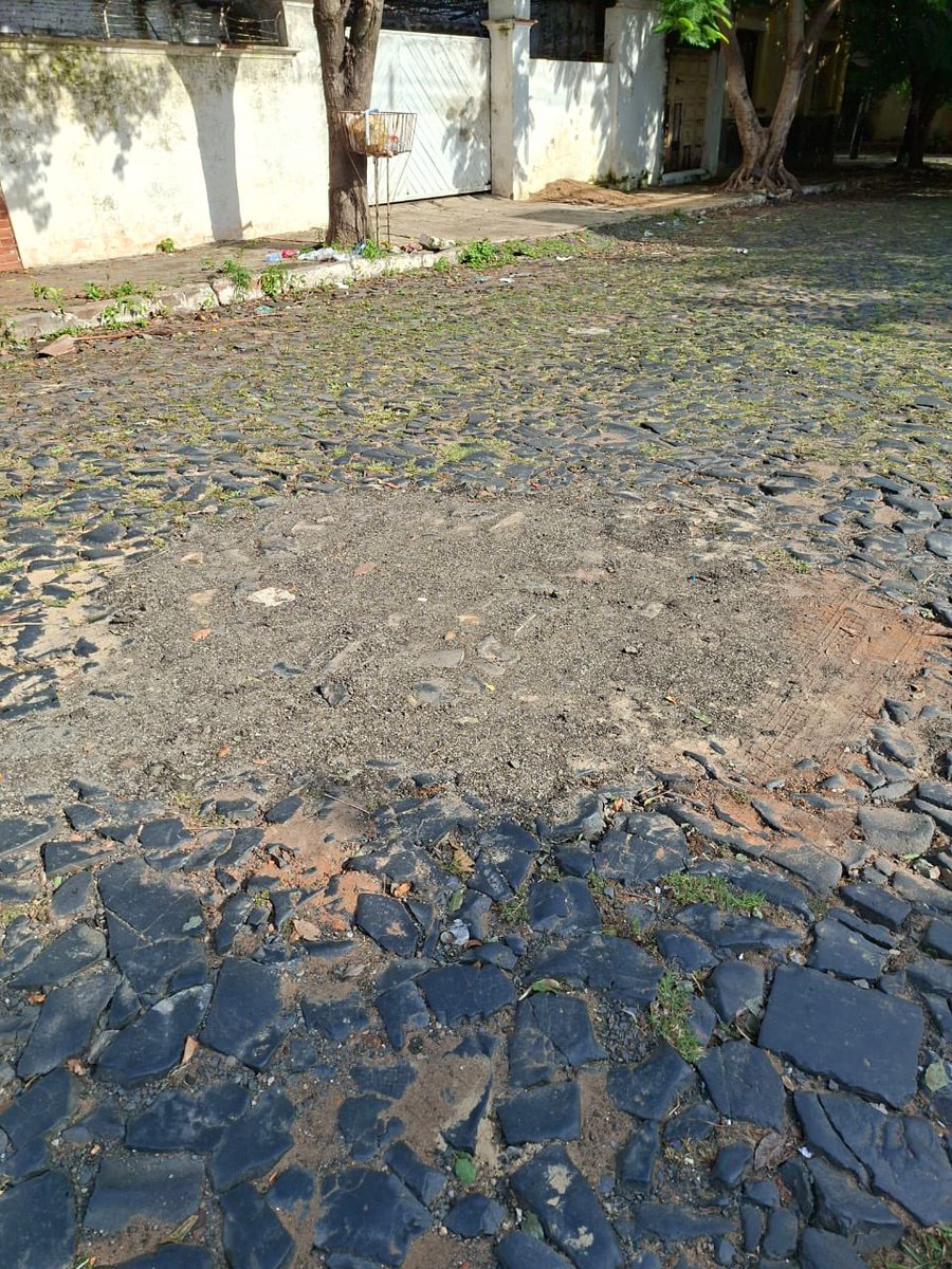 Federico Legal Aguilar tweet media