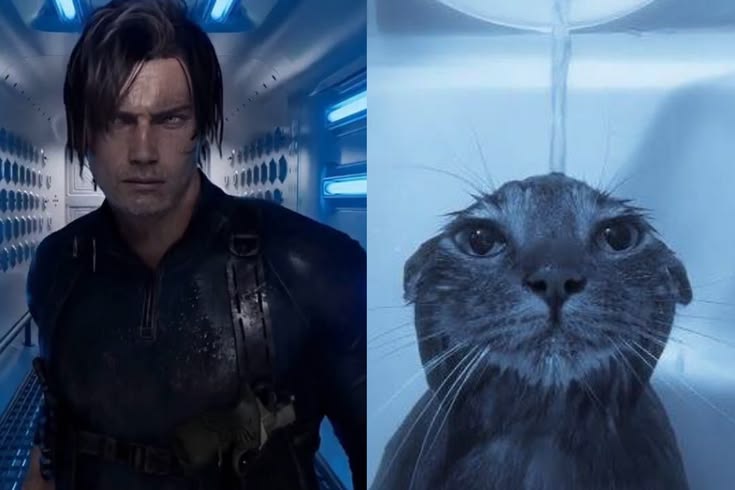 Jen 🍉 tweet media