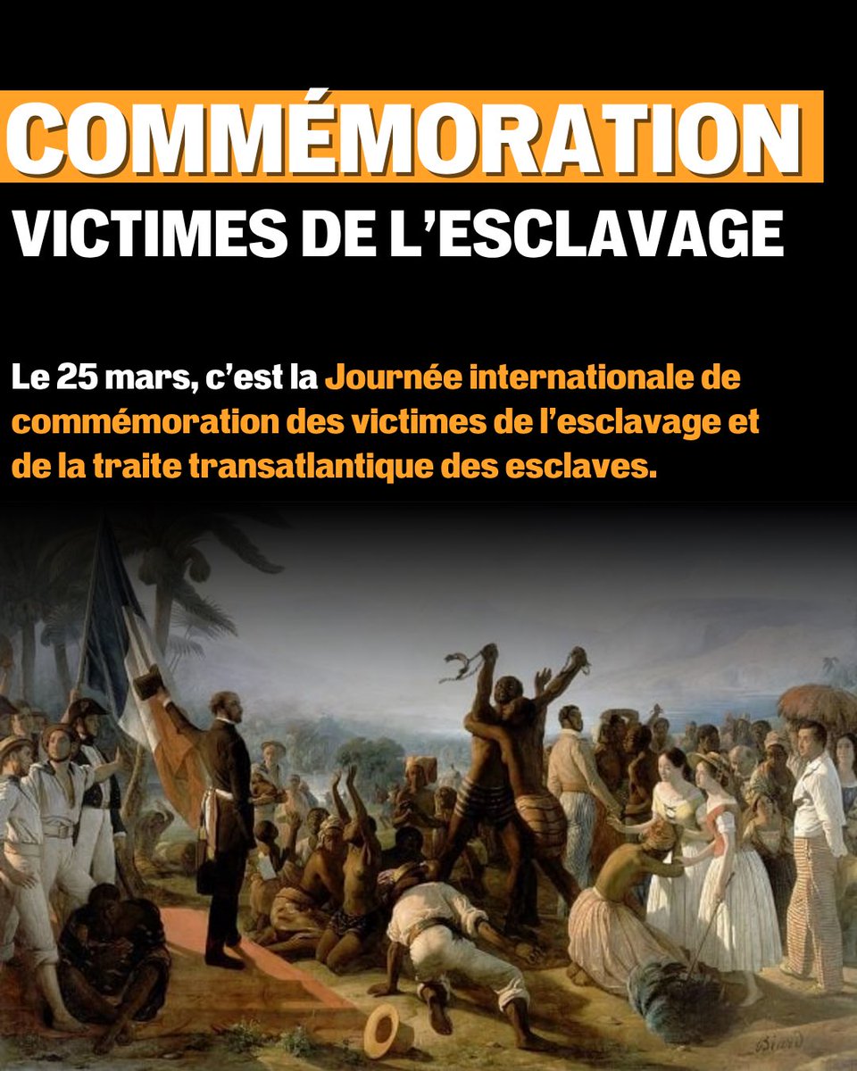 Thomas Portes tweet media