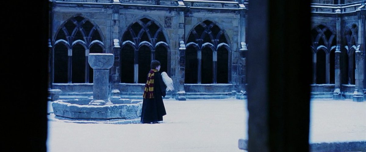 Miguel Araiza tweet media