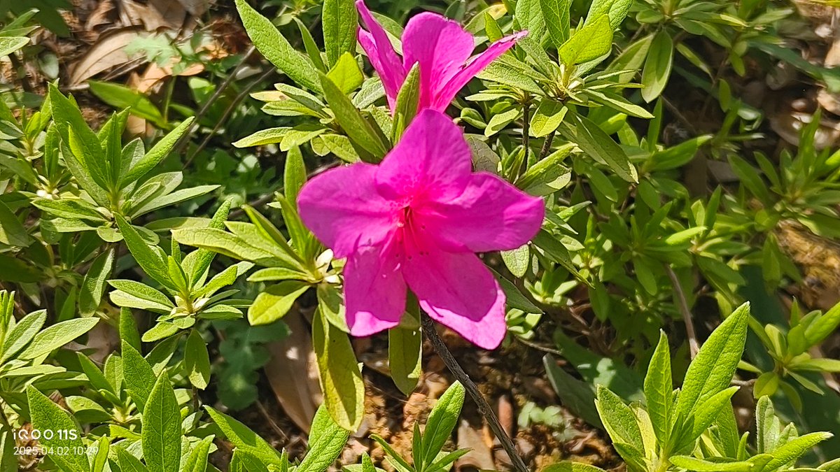 amadou beyai tweet media