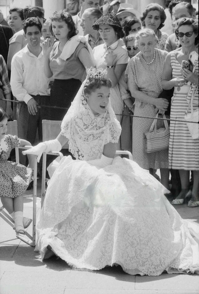 romy schneider daily tweet media