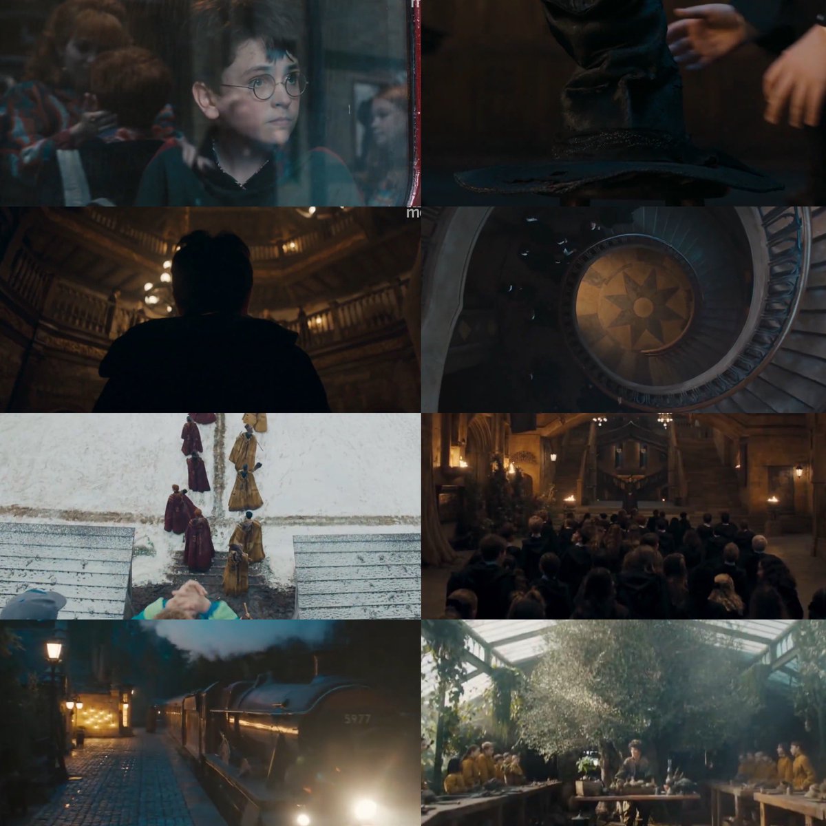 The Moonlight Warrior 🌙 tweet media