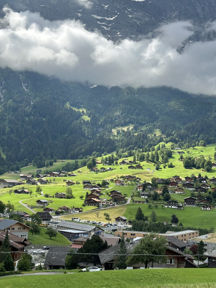 ᴍs.ᴀʟғʜᴅ tweet media