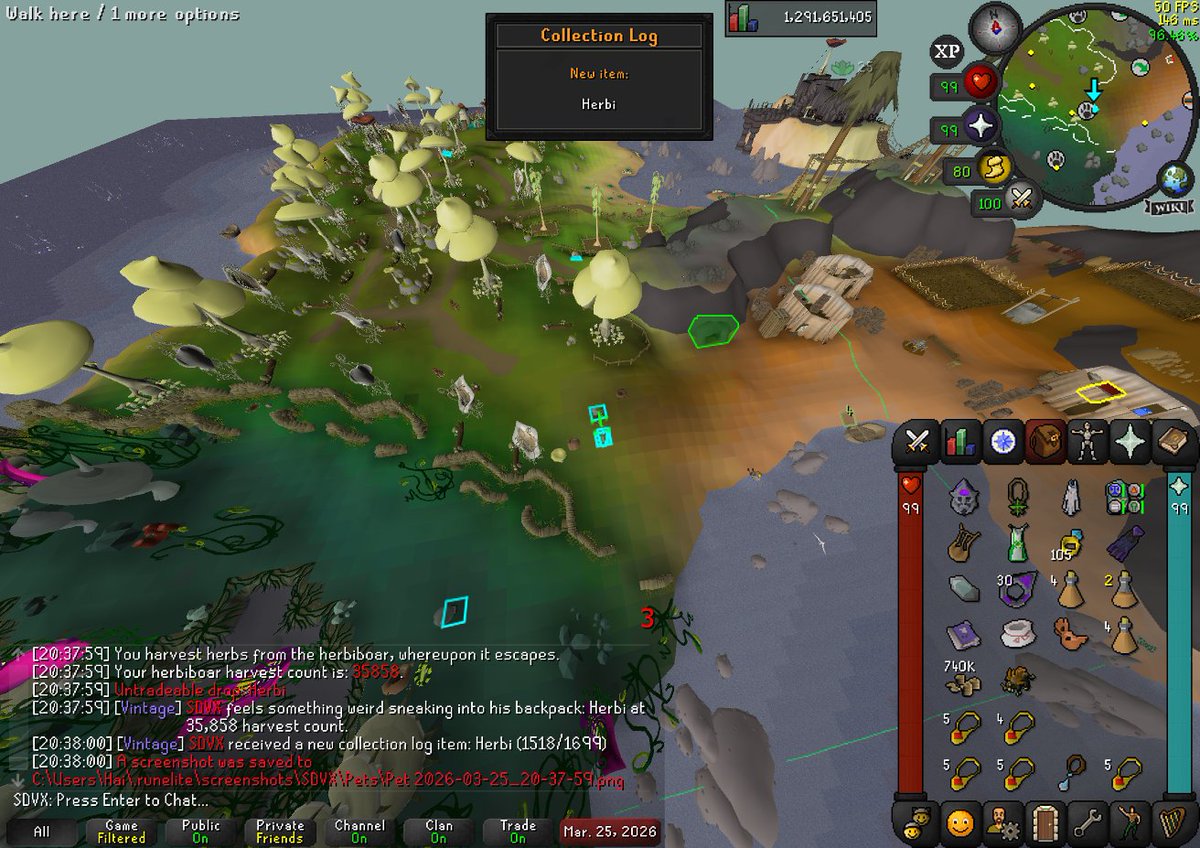 WhatTheHai tweet media