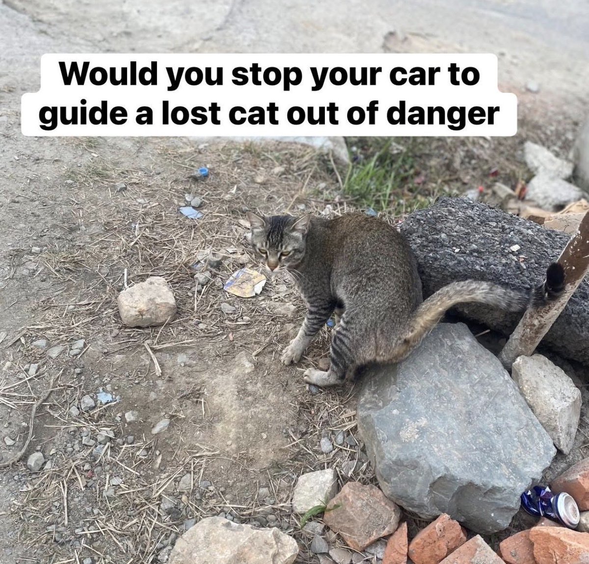 Juanita Broaddrick tweet media