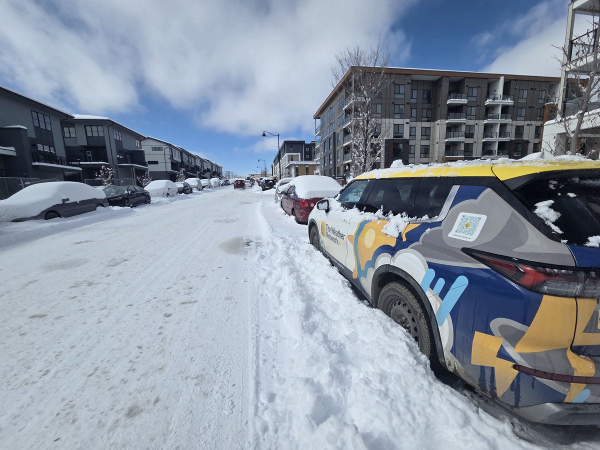 Connor O'Donovan tweet media