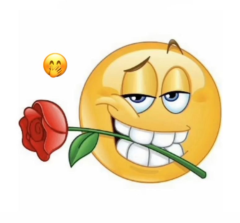 ايروكة الرواقية tweet media