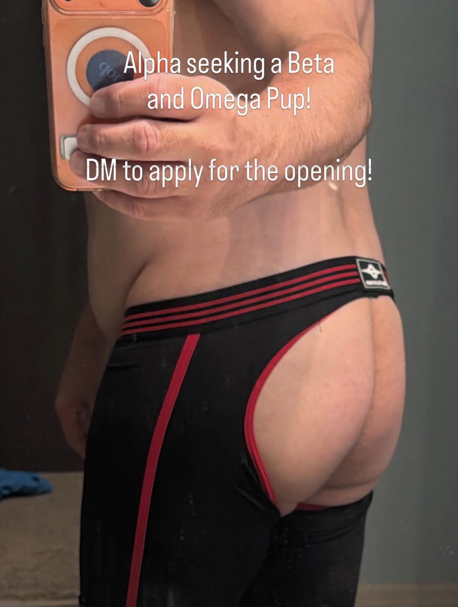 AlphaPupLoki's tweet photo. Alpha seeking a Beta and Omega Pup.  DM to apply for the openings! https://t.co/isPo9huL9L