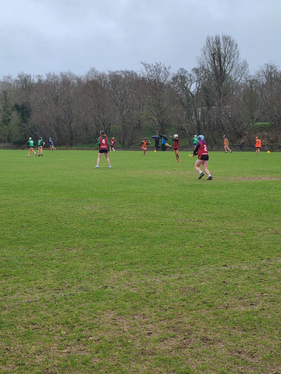 Queens GAA tweet media