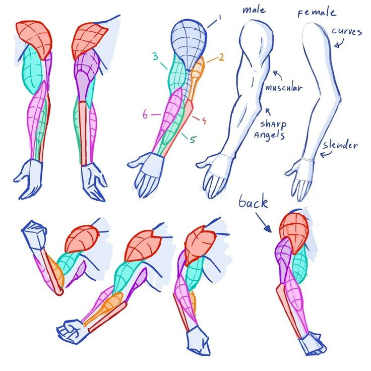 Flow connects every muscle group