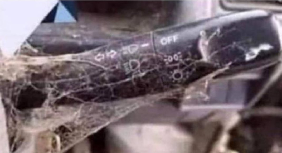 Hoonited 🇺🇦 tweet media