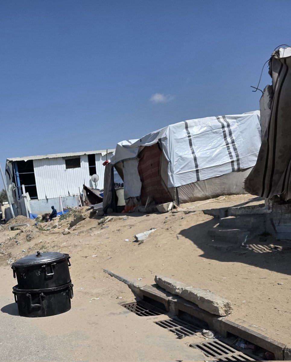 Mahmoud Massri | مَحْمُود 🇵🇸 tweet media