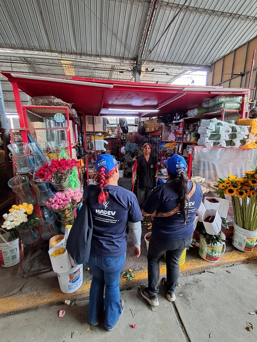 OIM Perú tweet media