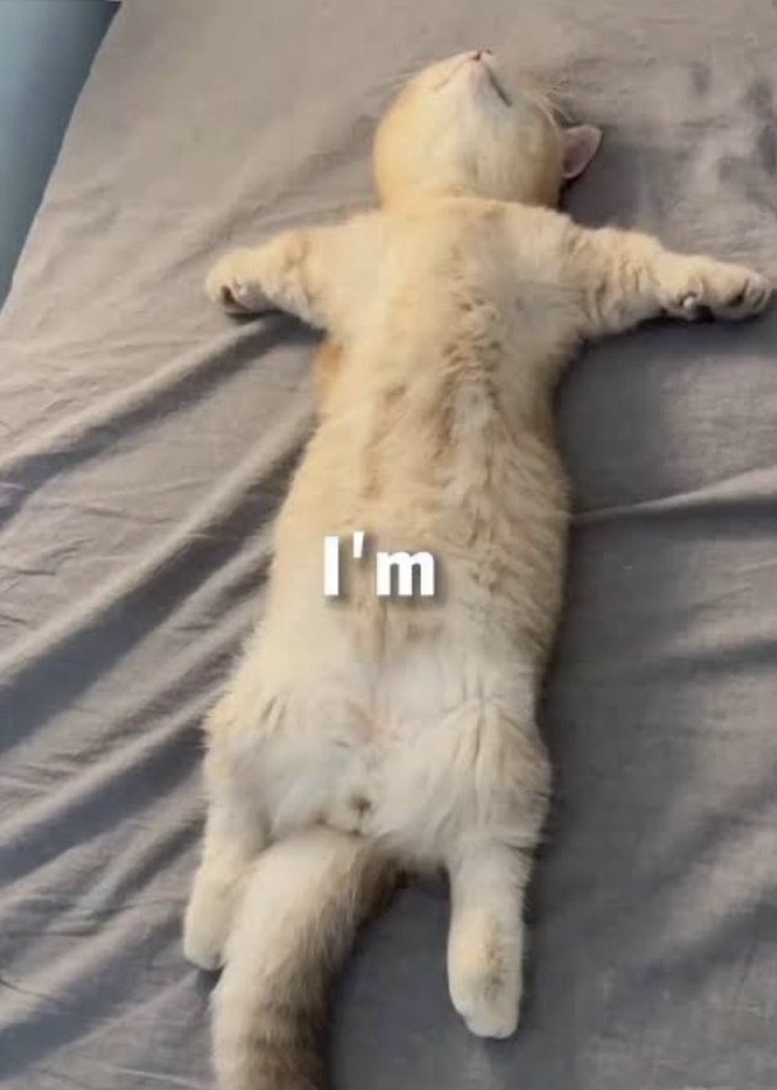 ⟢ nika tweet media