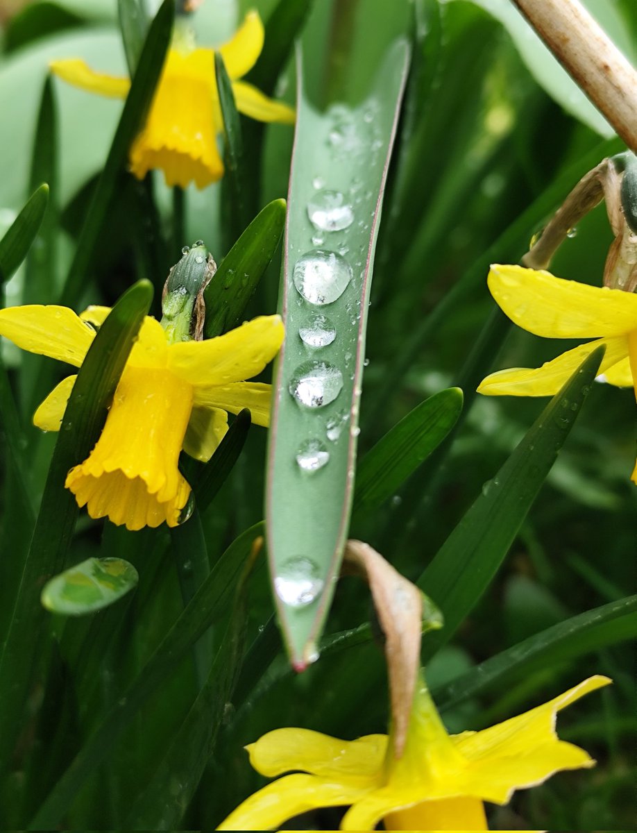 Monstarpockets tweet media