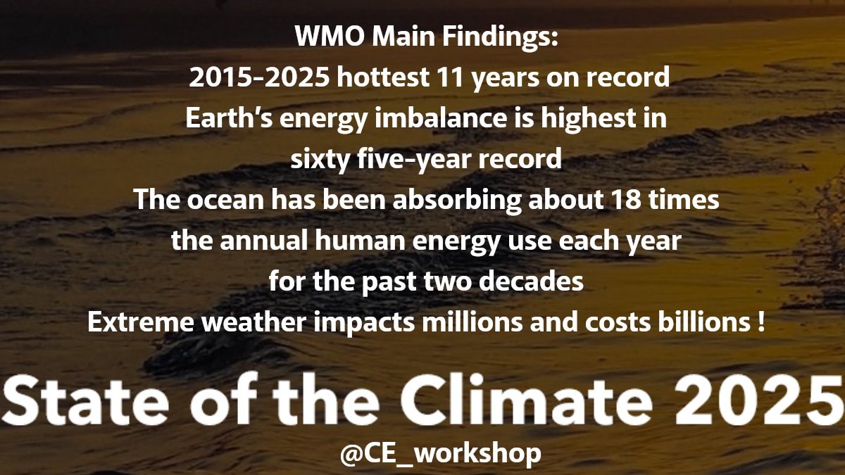 Kim M.🌈🐘🦋 tweet media