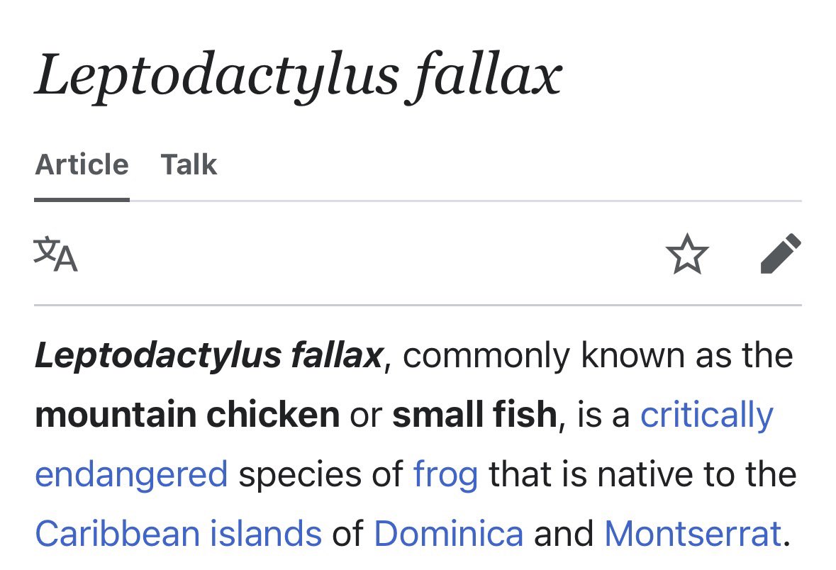 🦎Visceral🪶 (Tomistoma enjoyer🐊) tweet media