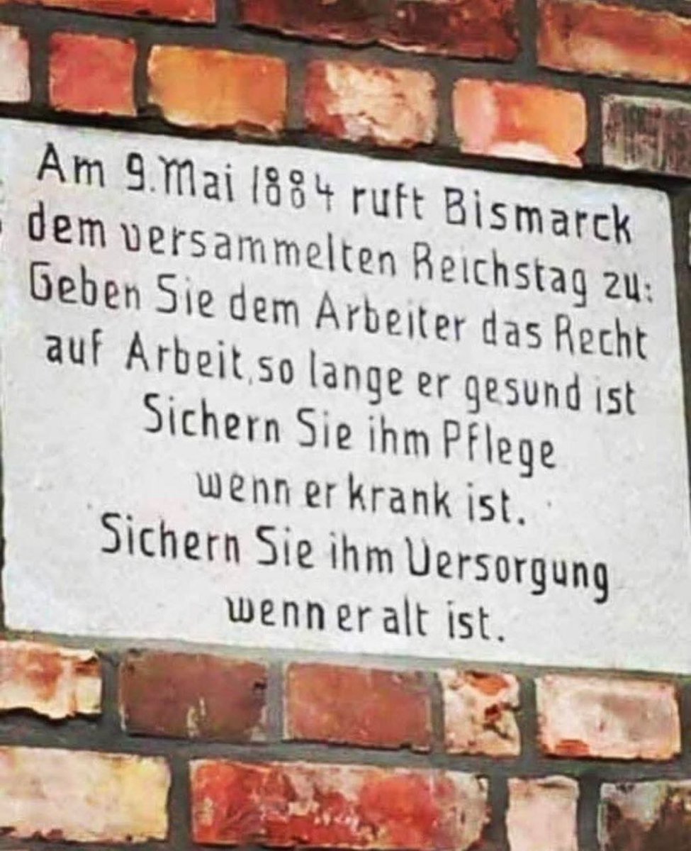 Ella Bauer tweet media