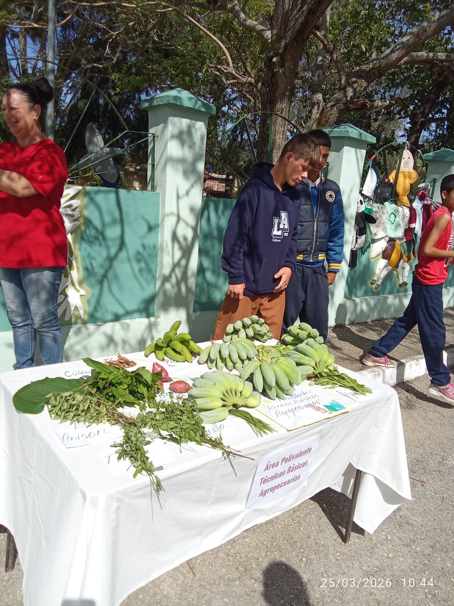 Se desarrolla Evento de Habilidades de la educación especial"Somos capaces"oportunidad para aprender y compartir #educacionespecial #educaciondecalidad #dge #cubamined