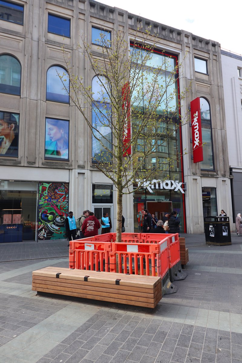 Steve Ellwood tweet media