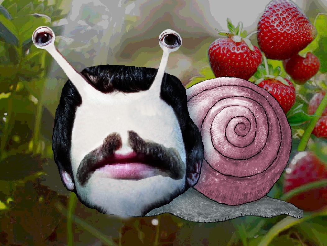 Uli🍓🪲(Tiny Tim’s #1 Fan) tweet media