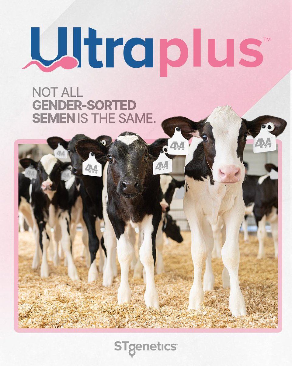 STgenetics tweet media