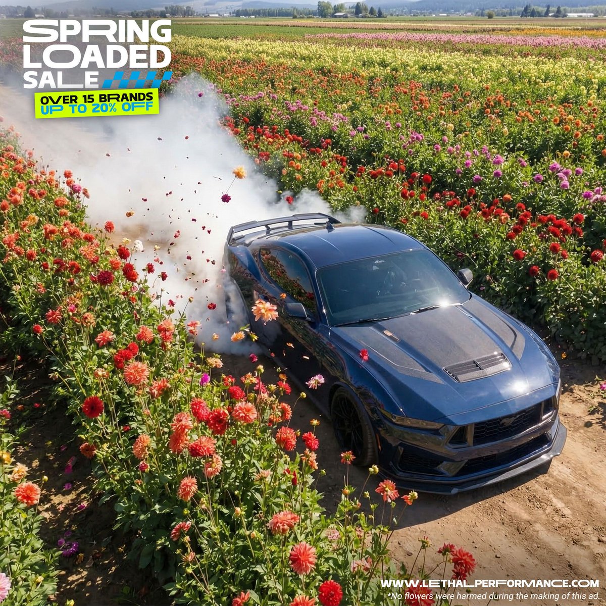 Lethal Performance tweet media