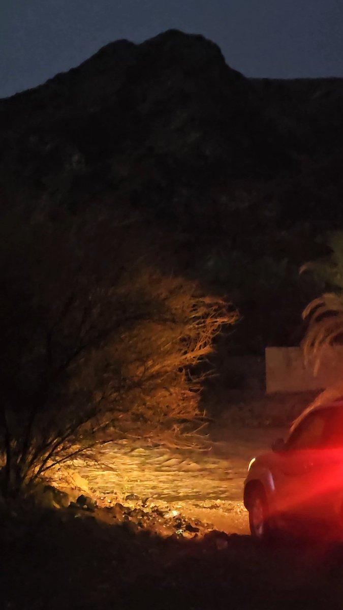 👩‍🦳🍃 tweet media