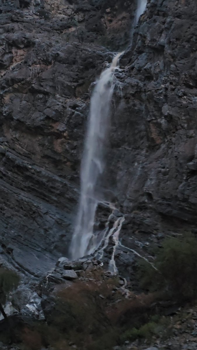 👩‍🦳🍃 tweet media