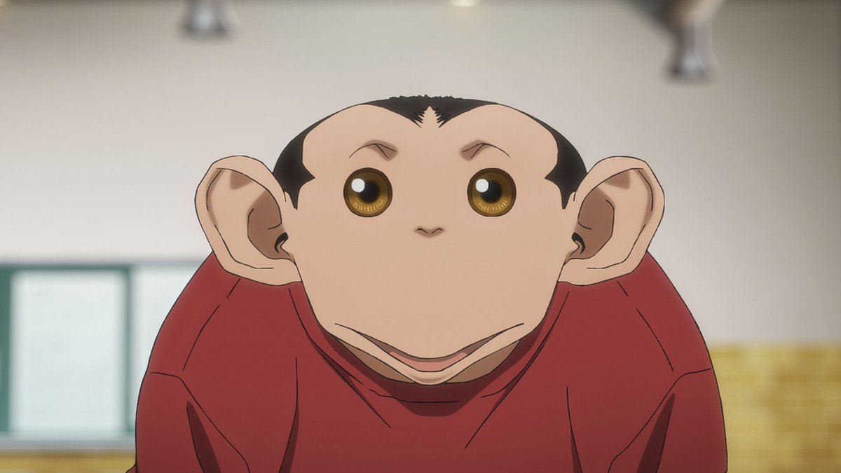 DodoRexy tweet media