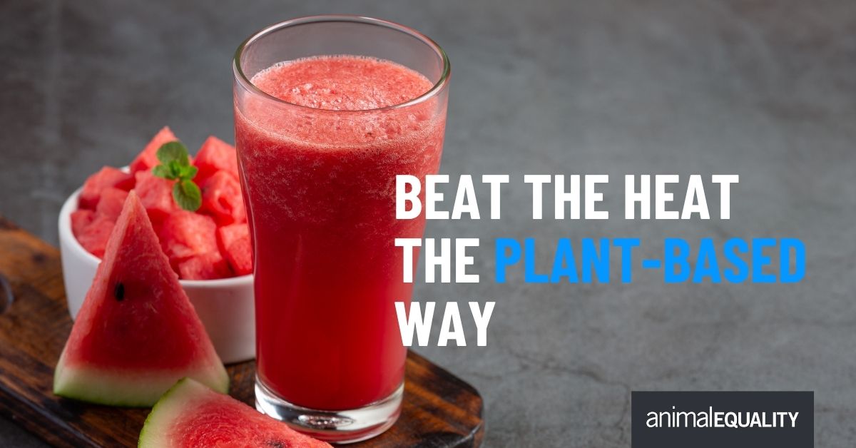 India_AE's tweet photo. Beat the heat the plant-based way 🌿☀️

Hydrating fruits, coconut water, mint, cucumber, light dals, and seasonal veggies can help your body stay cool, energized, and refreshed all summer long. Skip the heavy, greasy meals — choose foods that hydrate and nourish naturally.

This summer, let your plate be colorful, seasonal, and kind to your body. Read our blog to learn more: https://t.co/ZOlVvGWYKd

#SummerEating #PlantBasedLiving #BeatTheHeat #Hydration #SeasonalFoods #HealthyHabits