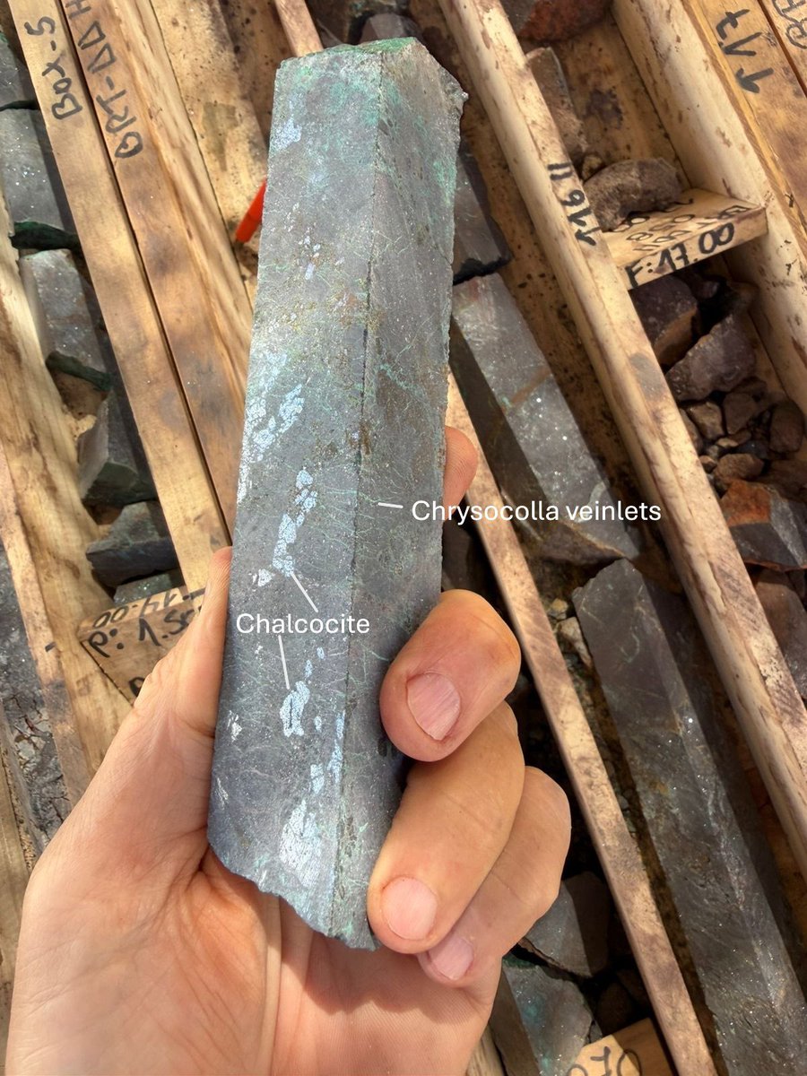 Fitzroyminerals's tweet photo. Geology is beautiful. Look at these textures from our infill drilling program. Happily there is an abundance of copper in the core, which is always a Good Thing to see in a copper project. 

In the next few weeks Fitzroy Minerals news flow will include the following:

* Letter of Intent from Pucobre to highlight their appetite to a) claw-back 30% by paying 90% of historic investment in Buen Retiro (in Q2 2027) b) allow the Heap Leach project to use the Electro-Win plant at Planta Biocobre and c) provide input data for the PFS in the form of real costs and figures

* Outline of Metallurgical test work / PFS update with commentary on the infill drill program 

* Geophysical results. Initially Mobile MT results from Caballos, and then later ANT (passive seismic by Fleet Space Technologies) at Buen Retiro

* Drilling results from the Infill work, and the start of Exploration Drilling at Buen Retiro. [Remember we are advancing 2 parallel work streams at Buen Retiro - de-risking the near-term low-cost Heap Leach and, separately, the ongoing hunt for The Big Sulphide Orebody]
$FTZ.V $FTZFF

#GoCopper
#GoExplorers
#GoFitzroy