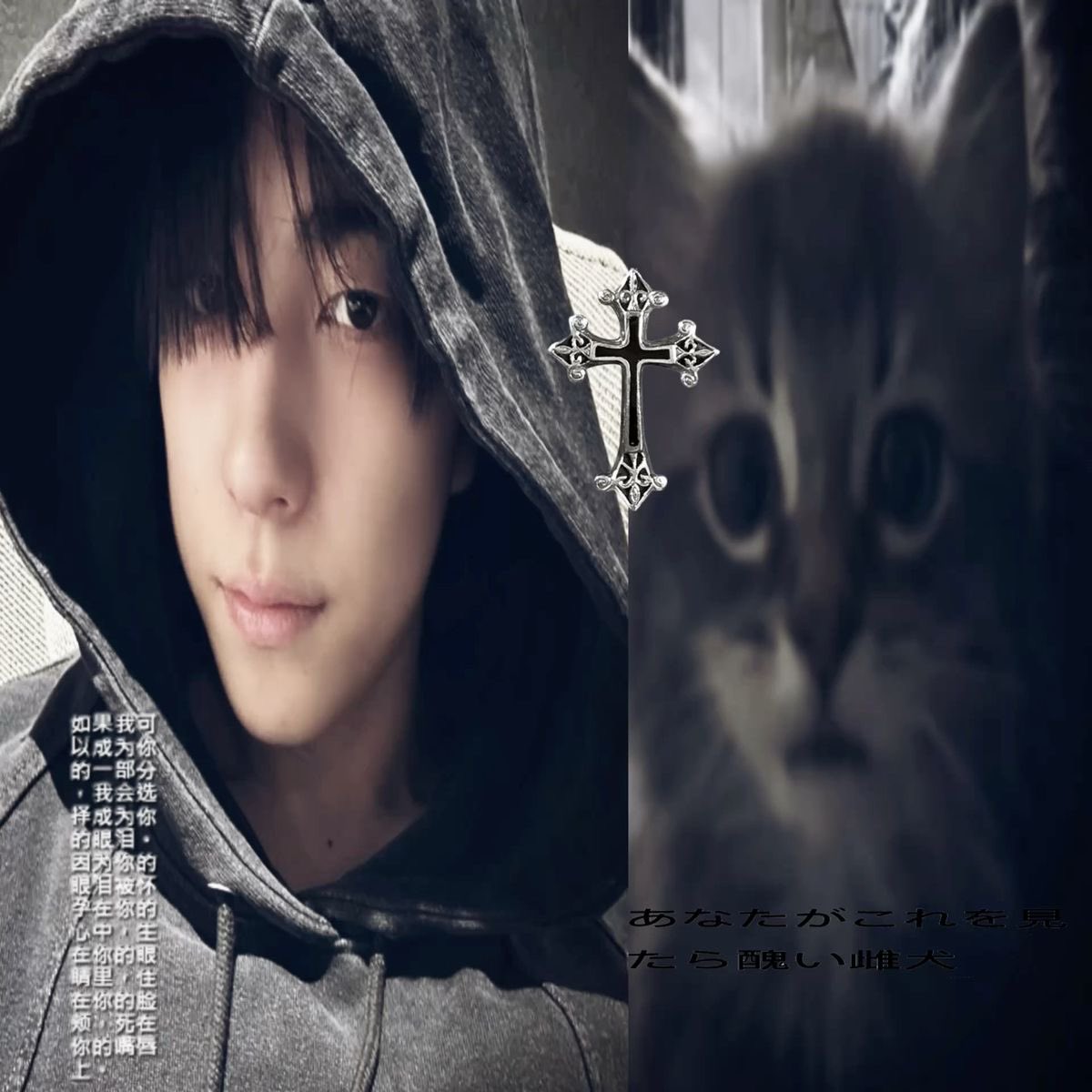 vinnie 🪼the man that chases the light tweet media