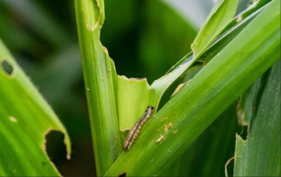 Grow Further tweet media