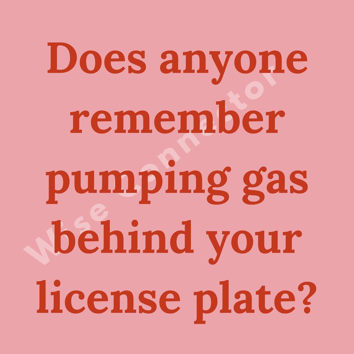 W 𝗜 𝗦 𝗘 𝗖 𝗢 𝗡 𝗡 𝗘 𝗖 𝗧 𝗢 𝗥 ™ 💬 tweet media