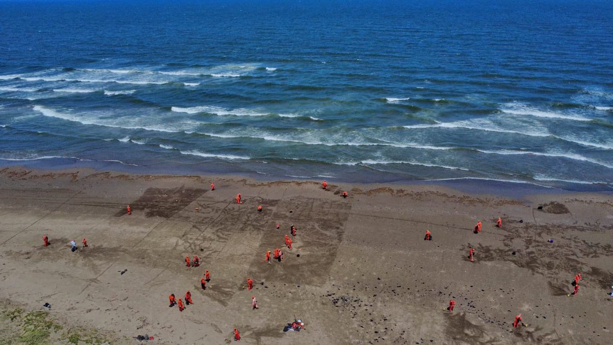 SENER México tweet media