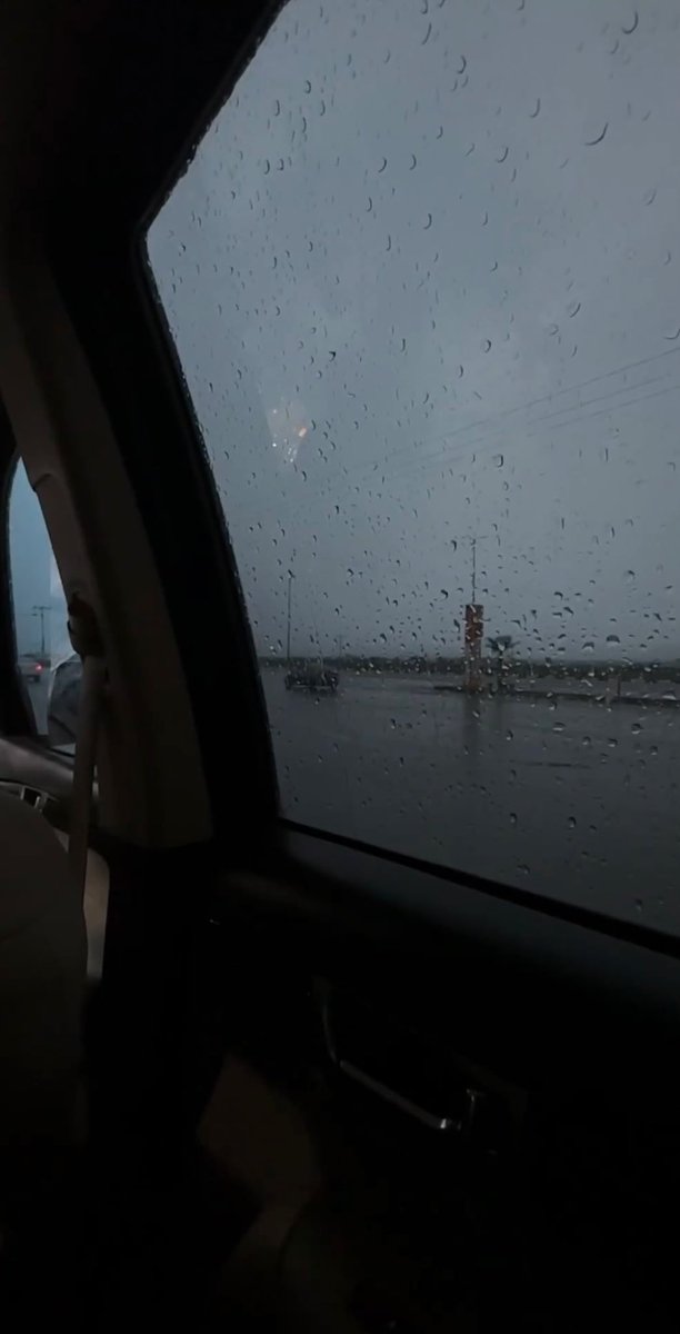 دلال tweet media