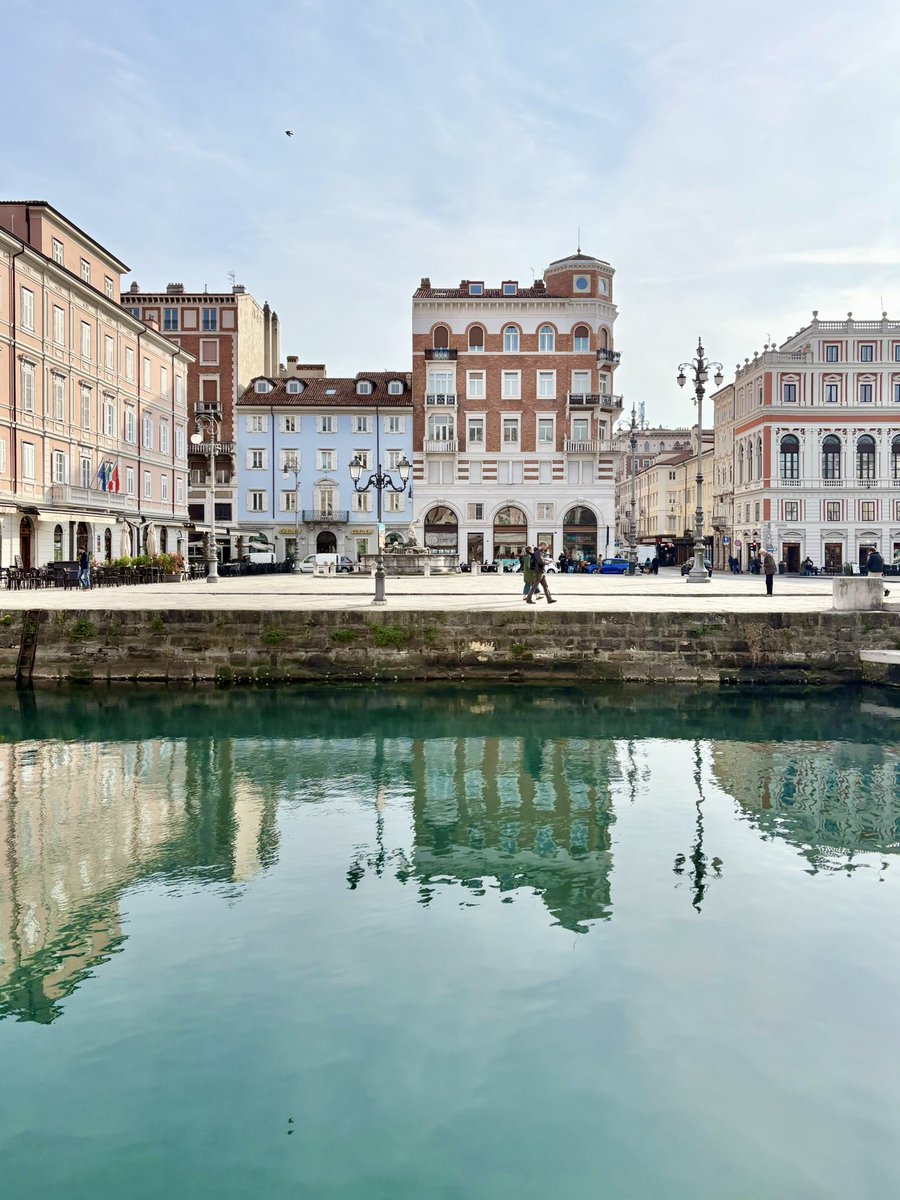 Aurora Fantin tweet media