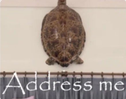 Jill ꪆৎ ˚⋅ tweet media