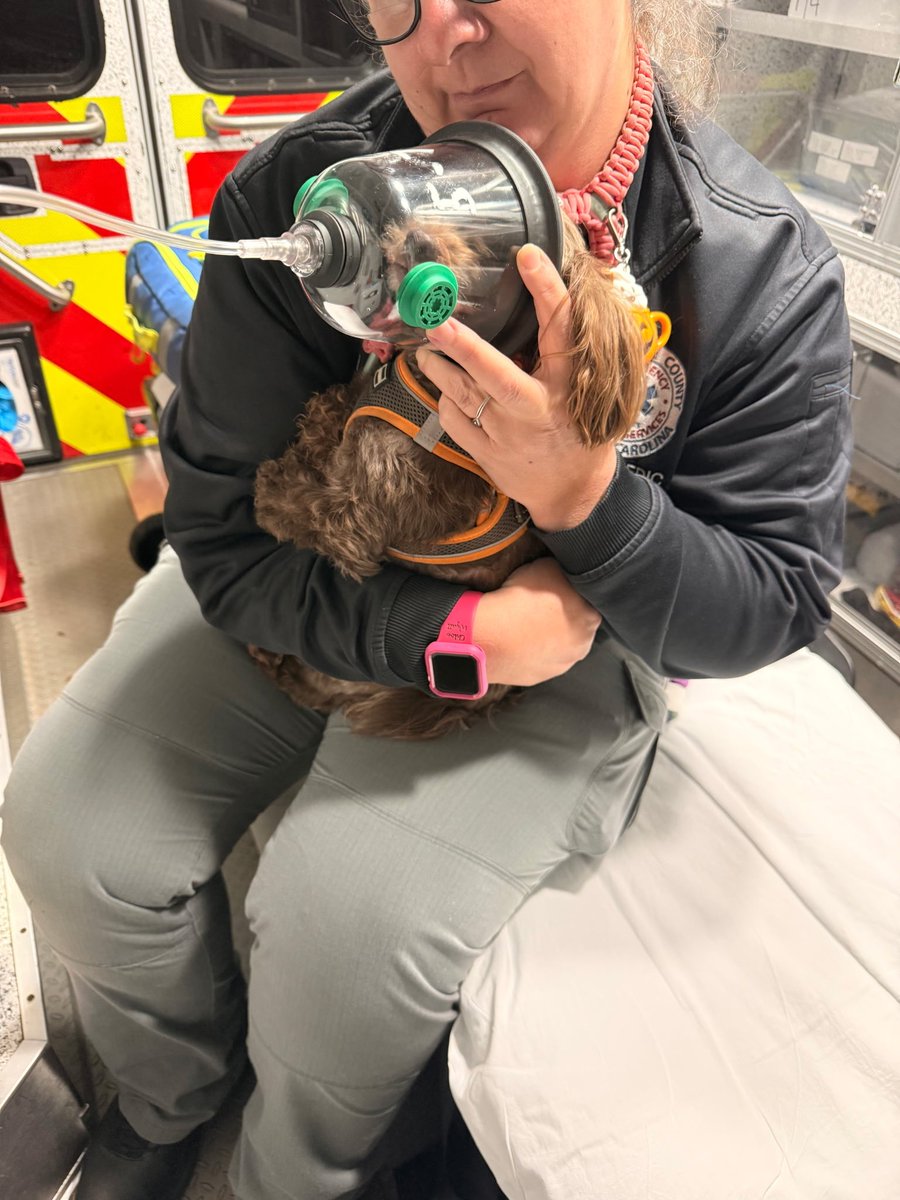 Public Information tweet media