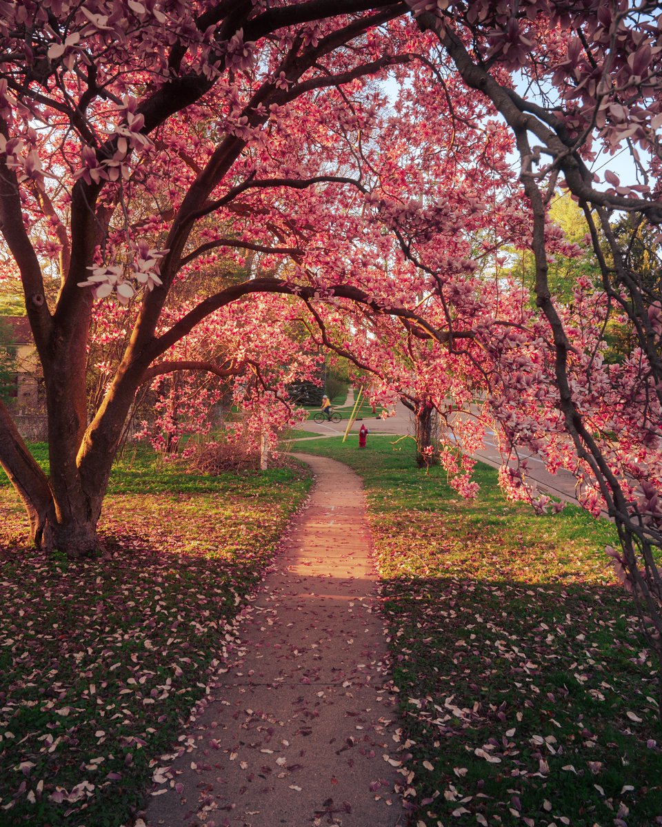 Chris Malchow tweet media