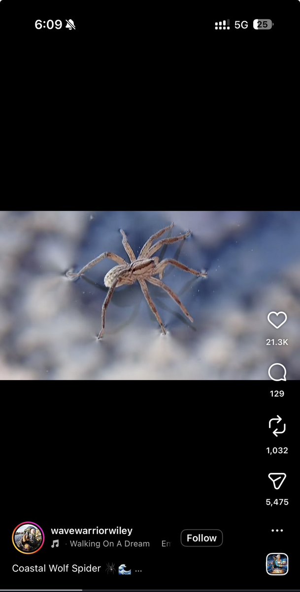 الأريب tweet media