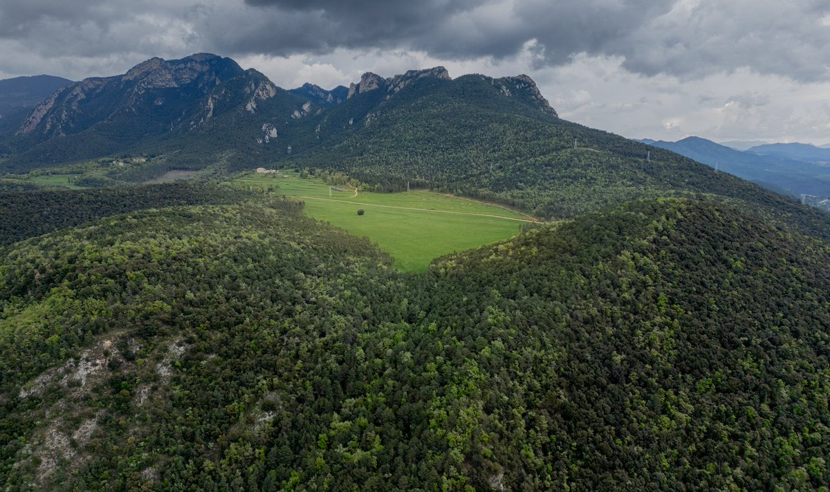 Casal Panxo tweet media